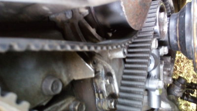 20160824_124429.jpg