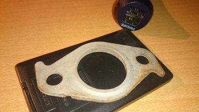 DSC_1517.JPG