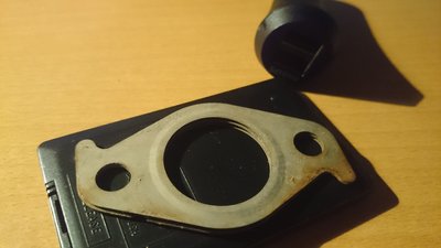DSC_1519.JPG