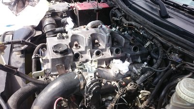 DSC_0033_1.JPG