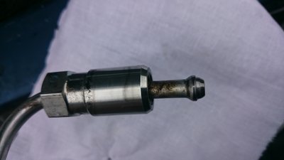 DSC_0050_2.JPG