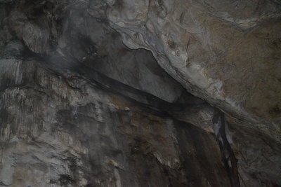 DSC_0295.JPG