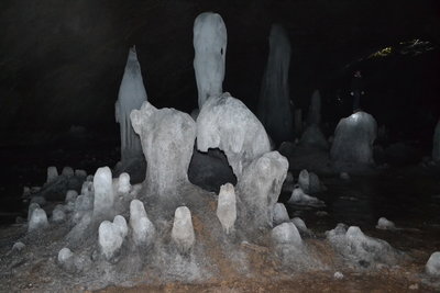 DSC_0299.JPG