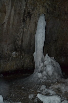 DSC_0300.JPG