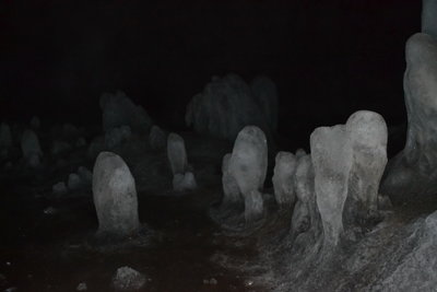 DSC_0302.JPG