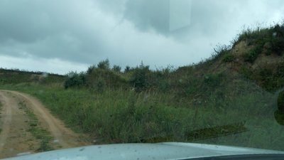 IMG_20160904_162340.jpg