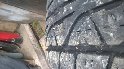 WP_20160905_005.jpg