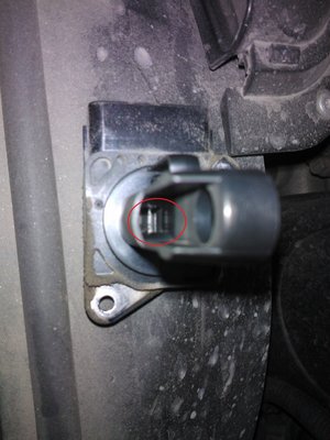 3ede678s-960.jpg