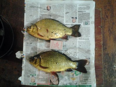 20160805_210109.jpg