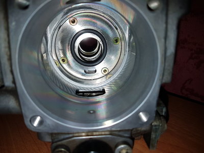20160911_221730.jpg