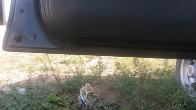 20160913_102131.jpg