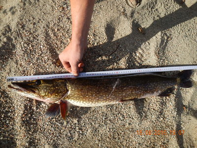 DSCN2855.JPG