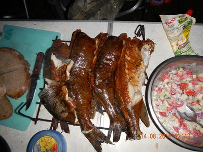 DSCN2780.JPG