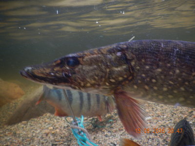 DSCN2798.JPG