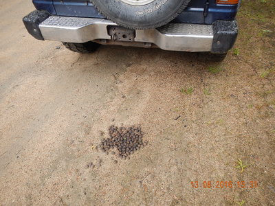 DSCN2720.JPG