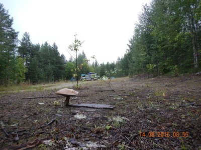 DSCN2747.JPG