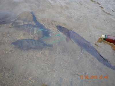 DSCN2793.JPG
