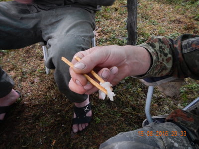 DSCN2789.JPG