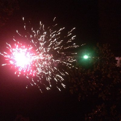 image.jpeg