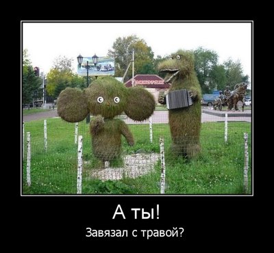 трава.jpeg