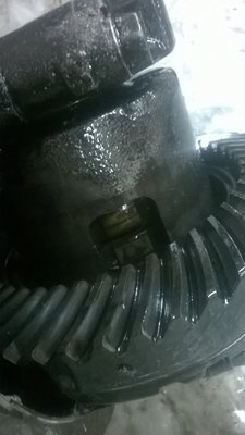 WP_20160924_16_01_07_Pro.jpg