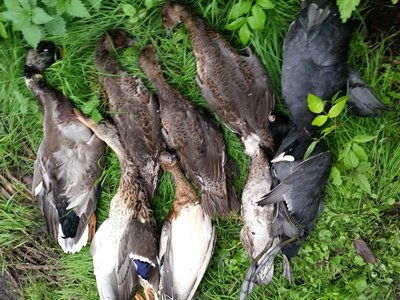 20160925_092309.jpg
