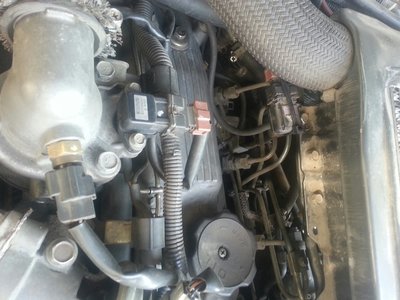 20160926_115055.jpg