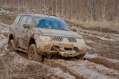 Domino_2012-0741.jpg