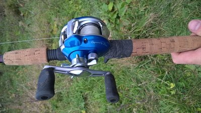 WP_20161002_16_28_30_Pro.jpg