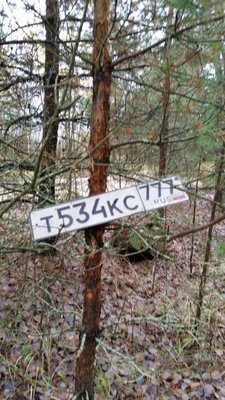 IMG_2740.JPG