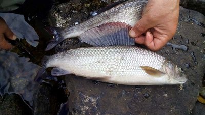 20160807_111240.jpg