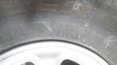 DSC_0226.JPG
