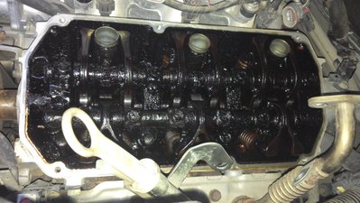 IMG_20161005_164546_651.jpg