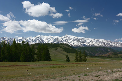 IMG_7496.jpg