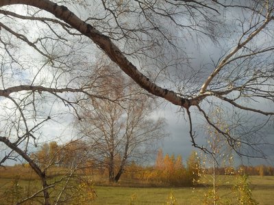 2016-10-17 14.55.18.jpg