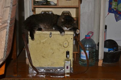 DSC_0069.jpg