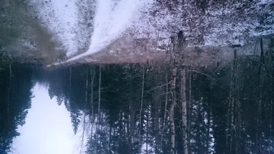 DSC_0004.JPG