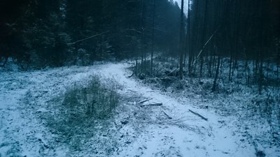 DSC_0005.JPG