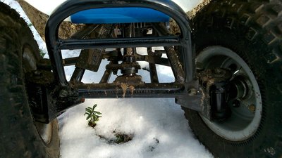 DSC_0027.JPG