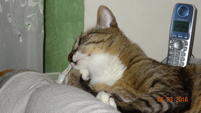 DSC02799.JPG