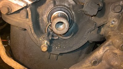 WP_20161111_20_04_49_Pro.jpg