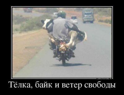 байкер.jpg