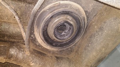 P_20161015_110330.jpg