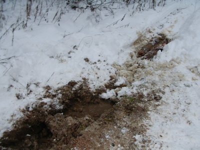 Колея.jpg