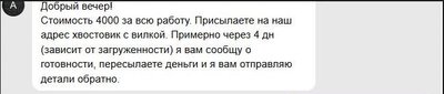 хвостовик.JPG