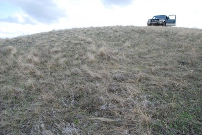 горка.jpg