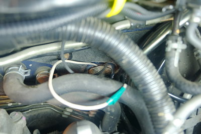 DSCF0093_resize.JPG