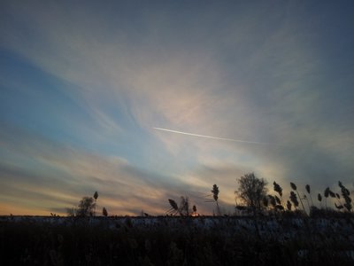 2016-12-05 16.10.26.jpg