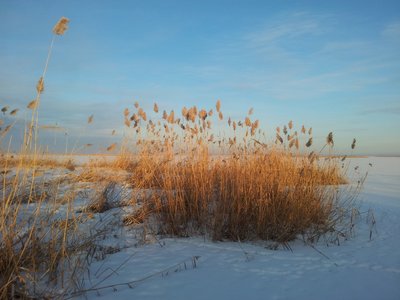 2016-12-12 15.32.13.jpg