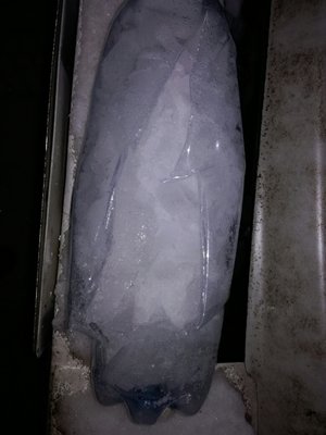 IMG_20161212_172349.jpg